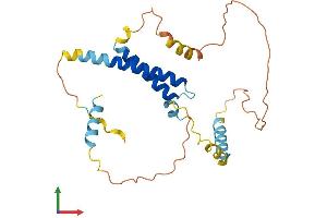 AlphaFold protein structure predicition of Human Recombinant CDCA4 Protein, UniprotID Q9BXL8