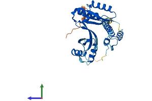 AlphaFold protein structure predicition of Mouse Recombinant Taco1 Protein, UniprotID Q8K0Z7