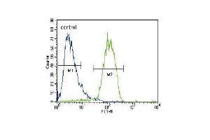RASGRP1 Antibody (Center) (ABIN652037 and ABIN2840511) flow cytometric analysis of HepG2 cells (right histogram) compared to a negative control cell (left histogram).