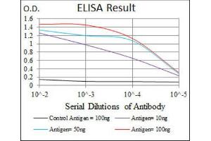 ELISA image for anti-Low Density Lipoprotein Receptor-Related Protein 5 (LRP5) antibody (ABIN1846200) (LRP5 anticorps)