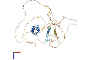 AlphaFold protein structure predicition of Mouse Recombinant Samd11 Protein, UniprotID Q1RNF8