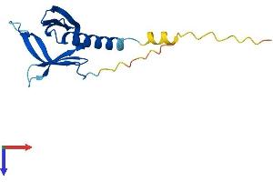 AlphaFold protein structure predicition of Mouse Recombinant Phlda2 Protein, UniprotID O08969