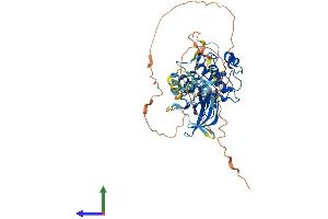 AlphaFold protein structure predicition of Mouse Recombinant Camkk1 Protein, UniprotID Q8VBY2
