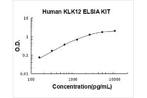 Human KLK12 PicoKine ELISA Kit standard curve