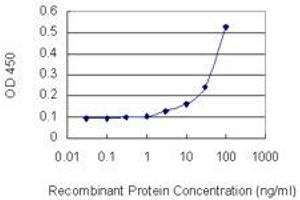 Detection limit for recombinant GST tagged MAT1A is 1 ng/ml as a capture antibody. (MAT1A anticorps  (AA 1-395))