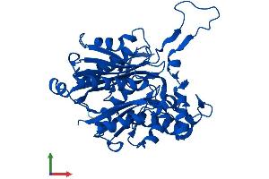 AlphaFold protein structure predicition of Mouse Recombinant Acaa2 Protein, UniprotID Q8BWT1