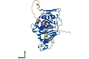 AlphaFold protein structure predicition of Mouse Recombinant Hmgcs1 Protein, UniprotID Q8JZK9