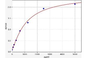 Typical standard curve (MUM1 Kit ELISA)