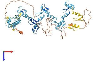 AlphaFold protein structure predicition of Human Recombinant ZNF461 Protein, UniprotID Q8TAF7