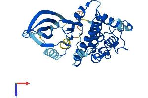 AlphaFold protein structure predicition of Human Recombinant CDK1 Protein, UniprotID P06493