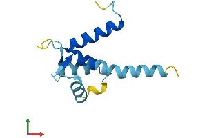 AlphaFold protein structure predicition of Human Recombinant S100A16 Protein, UniprotID Q96FQ6