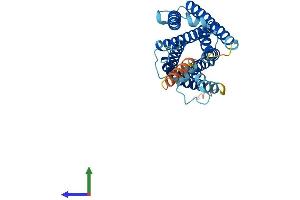 AlphaFold protein structure predicition of Mouse Recombinant Mrgpre Protein, UniprotID Q91ZB7