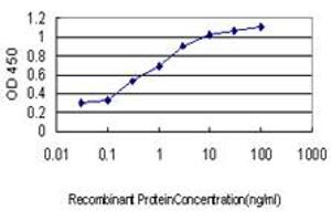 Detection limit for recombinant GST tagged GPR24 is approximately 0.