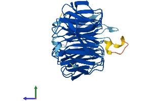 AlphaFold protein structure predicition of Mouse Recombinant Eif3i Protein, UniprotID Q9QZD9