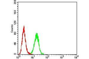 Flow cytometric analysis of HeLa cells using C1QC mouse mAb (green) and negative control (red).