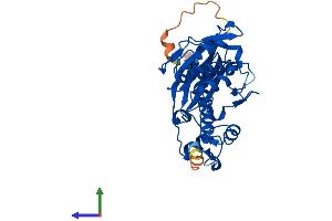 AlphaFold protein structure predicition of Mouse Recombinant Aasdhppt Protein, UniprotID Q9CQF6