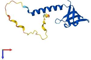 AlphaFold protein structure predicition of Human Recombinant GEMIN7 Protein, UniprotID Q9H840