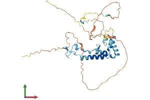 AlphaFold protein structure predicition of Mouse Recombinant Spry4 Protein, UniprotID Q9WTP2