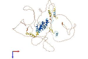 AlphaFold protein structure predicition of Human Recombinant FBXO43 Protein, UniprotID Q4G163