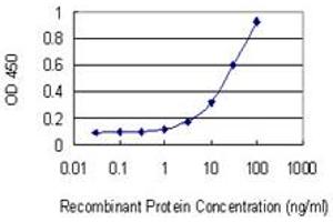 Detection limit for recombinant GST tagged ZNF444 is 1 ng/ml as a capture antibody. (ZNF444 anticorps  (AA 38-133))