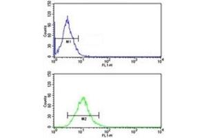 CD166 antibody flow cytometric analysis of NCI-H292 cells (green) compared to a negative control (blue).