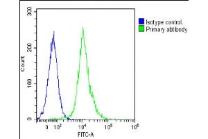 Overlay histogram showing Jurkat cells stained with (ABIN392231 and ABIN2841925)(green line).