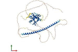 AlphaFold protein structure predicition of Mouse Recombinant Nos1ap Protein, UniprotID Q9D3A8