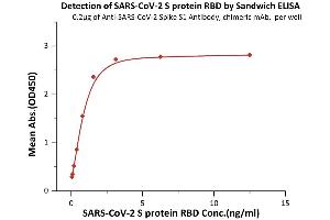 Immobilized Anti-SARS-CoV-2 Spike S1 Antibody, chimeric mAb (ABIN6953206) at 2 μg/mL (100 μL/well) can bind S protein RBD.