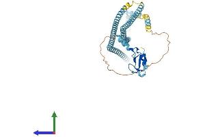 AlphaFold protein structure predicition of Mouse Recombinant Rnf26 Protein, UniprotID Q8BUH7