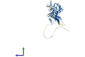 AlphaFold protein structure predicition of Human Recombinant SEPTIN10 Protein, UniprotID Q9P0V9