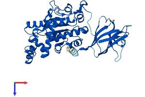 AlphaFold protein structure predicition of Mouse Recombinant Sec14l2 Protein, UniprotID Q99J08