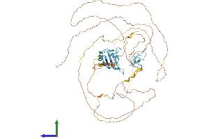 AlphaFold protein structure predicition of Mouse Recombinant Ewsr1 Protein, UniprotID Q61545