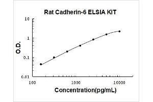Typical Standard Curve