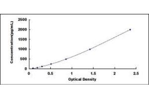 Egl-9 Family Hypoxia Inducible Factor 1 (EGLN1) ELISA Kit