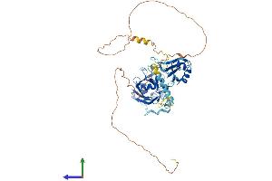 AlphaFold protein structure predicition of Mouse Recombinant Ppil4 Protein, UniprotID Q9CXG3
