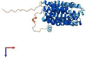 AlphaFold protein structure predicition of Human Recombinant SLC22A18 Protein, UniprotID Q96BI1