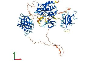 AlphaFold protein structure predicition of Human Recombinant BMX Protein, UniprotID P51813