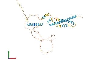 AlphaFold protein structure predicition of Mouse Recombinant Camlg Protein, UniprotID P49070