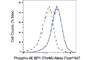 Validation of 4E BP1 knockdown using flow cytometry. (Recombinant eIF4EBP1 anticorps  (pThr46))