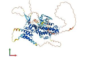 AlphaFold protein structure predicition of Human Recombinant RGL3 Protein, UniprotID Q3MIN7