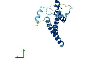 AlphaFold protein structure predicition of Mouse Recombinant Ostc Protein, UniprotID Q78XF5