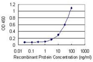 Detection limit for recombinant GST tagged MAF1 is 1 ng/ml as a capture antibody.