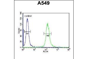 Flow cytometric analysis of A549 cells (right histogram) compared to a negative control cell (left histogram). (LOH12CR1 anticorps  (C-Term))