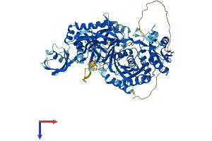 AlphaFold protein structure predicition of Human Recombinant PIWIL4 Protein, UniprotID Q7Z3Z4