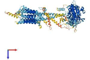 AlphaFold protein structure predicition of Human Recombinant ADCY2 Protein, UniprotID Q08462
