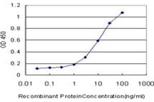 Detection limit for recombinant GST tagged DIABLO is approximately 0. (DIABLO anticorps  (AA 119-218))