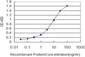Detection limit for recombinant GST tagged CRX is approximately 0.