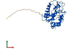AlphaFold protein structure predicition of Human Recombinant SMUG1 Protein, UniprotID Q53HV7