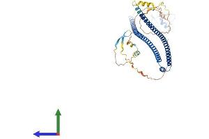 AlphaFold protein structure predicition of Human Recombinant TRAIP Protein, UniprotID Q9BWF2