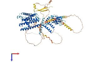 AlphaFold protein structure predicition of Human Recombinant CNGB3 Protein, UniprotID Q9NQW8